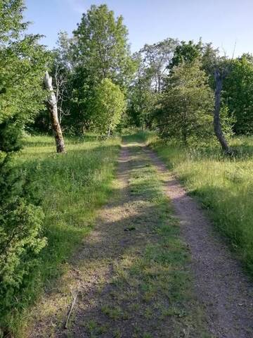 Фото номера Дом с 2 спальнями Дома для отпуска Mysig stuga nära havet och naturreservat г. Jomala 32